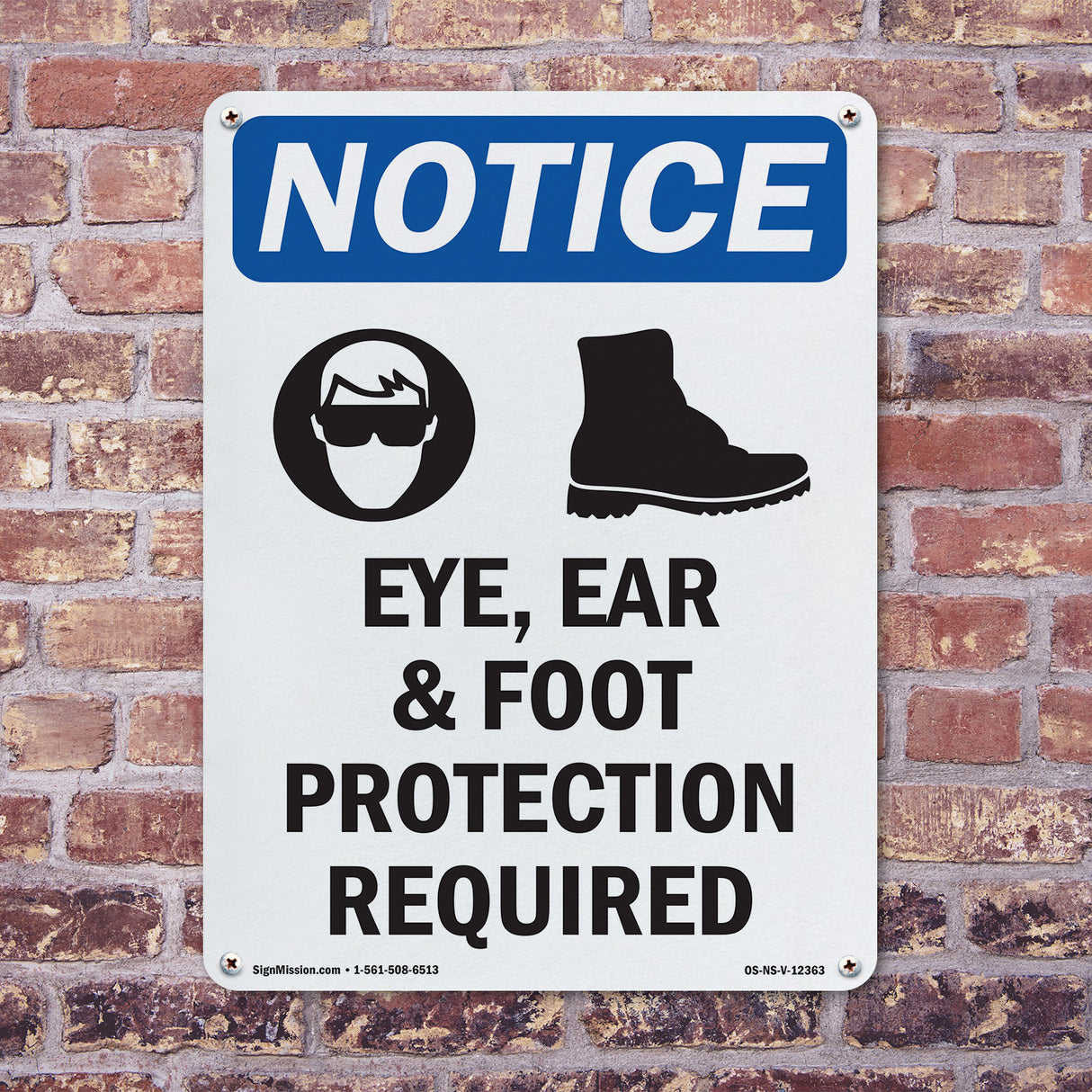 Eye, Ear & Foot Protection Required