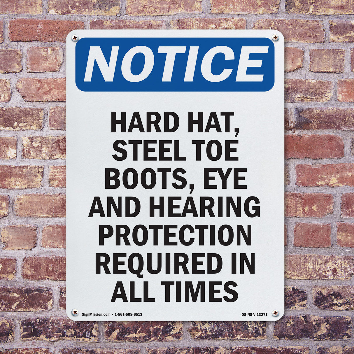 Hard Hat, Steel Toe Boots, Eye And Hearing