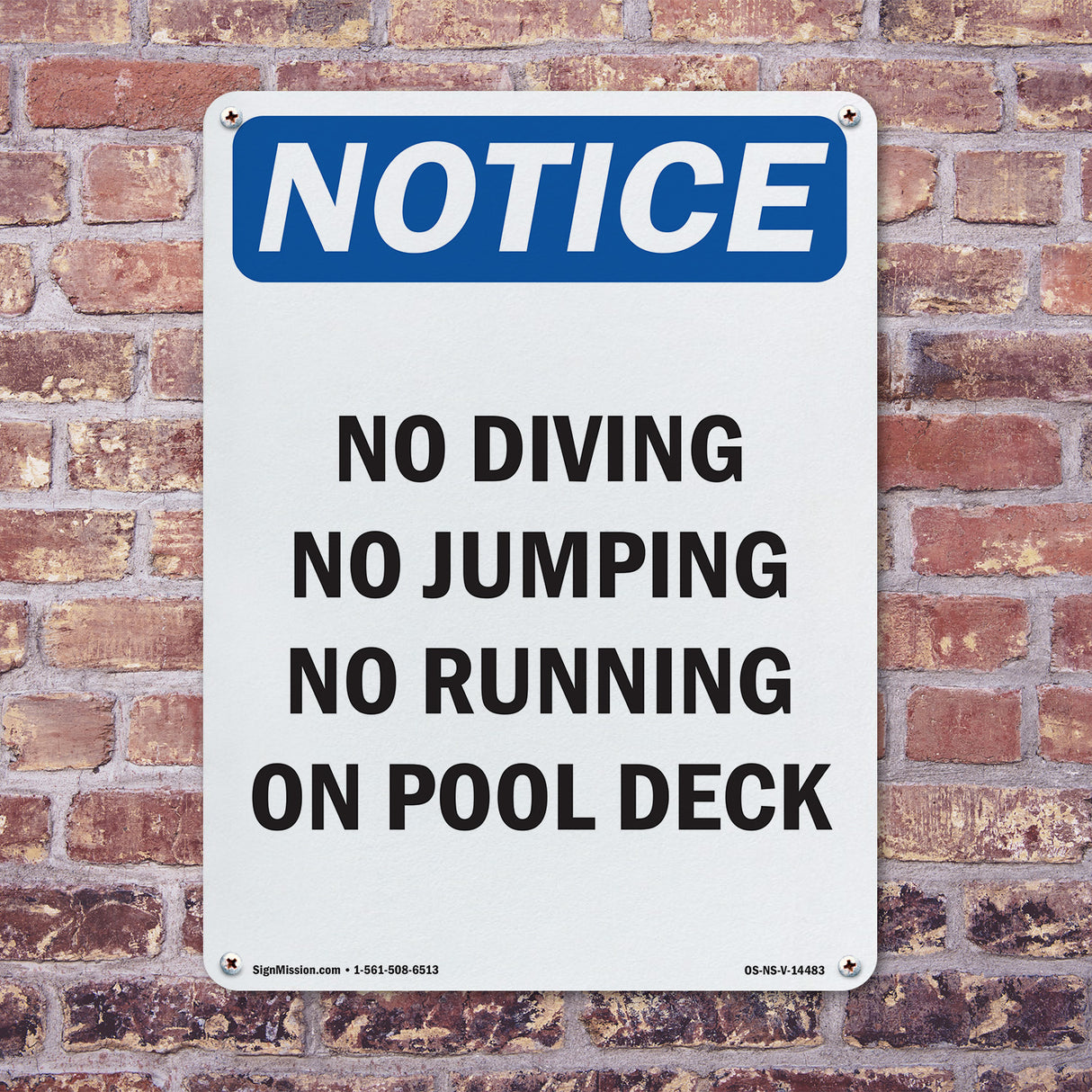 No Diving No Jumping No Running On Pool Deck