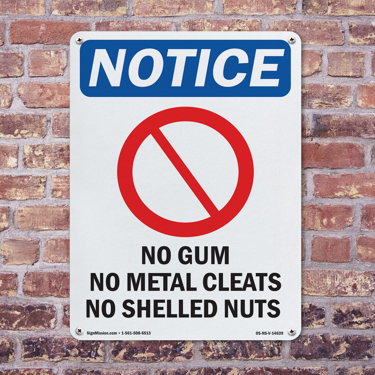 No Gum No Metal Cleats No Shelled Nuts