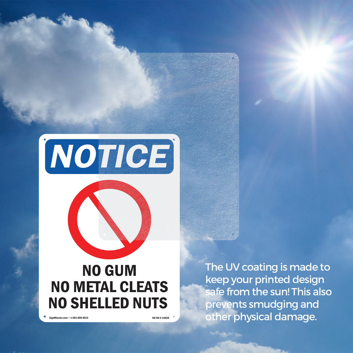 No Gum No Metal Cleats No Shelled Nuts