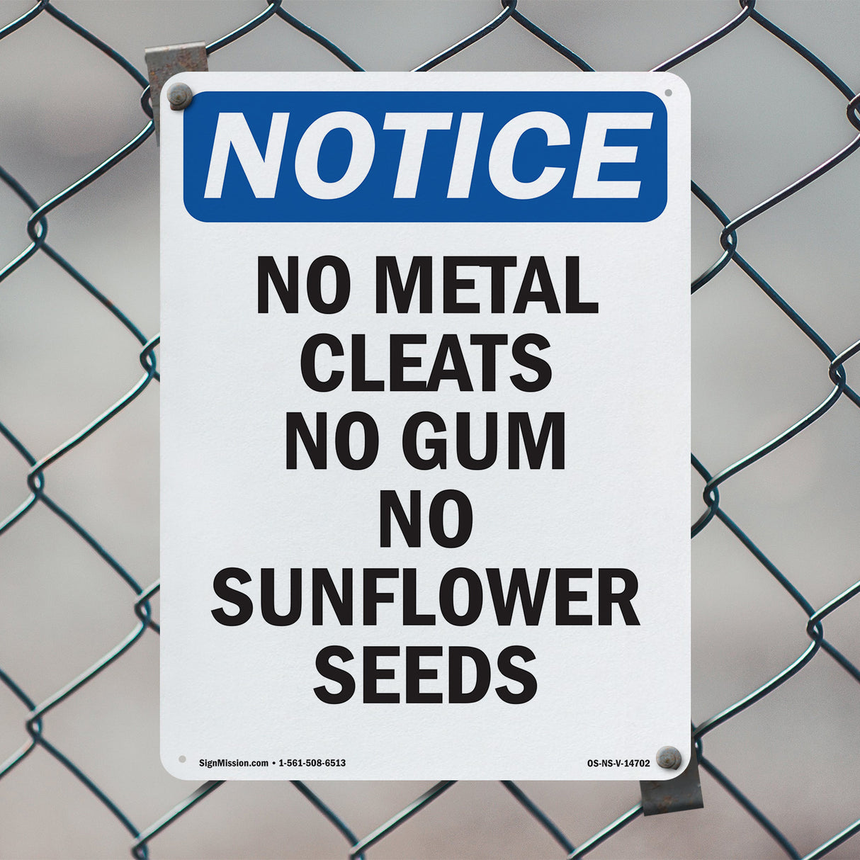 No Metal Cleats No Gum No Sunflower Seeds