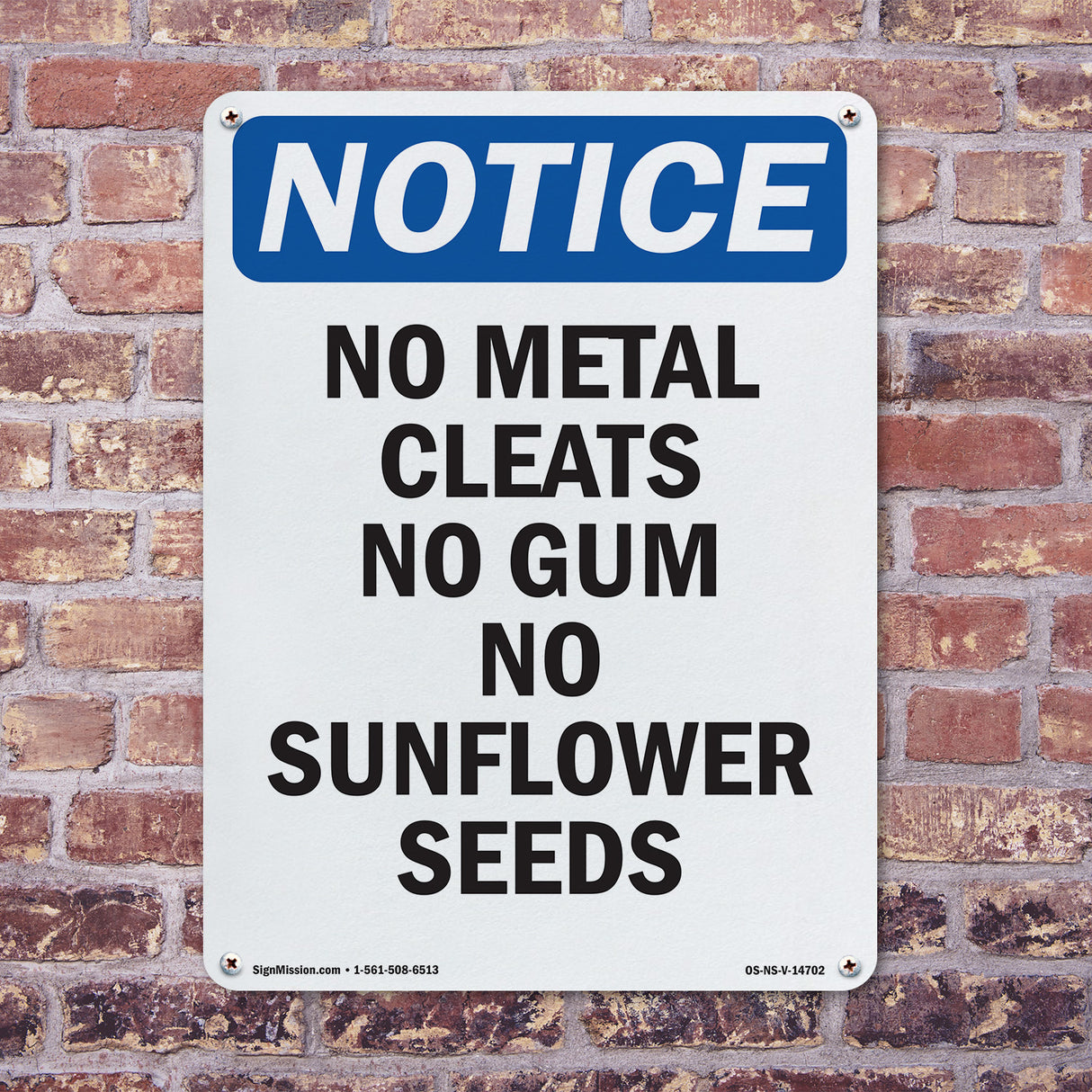 No Metal Cleats No Gum No Sunflower Seeds