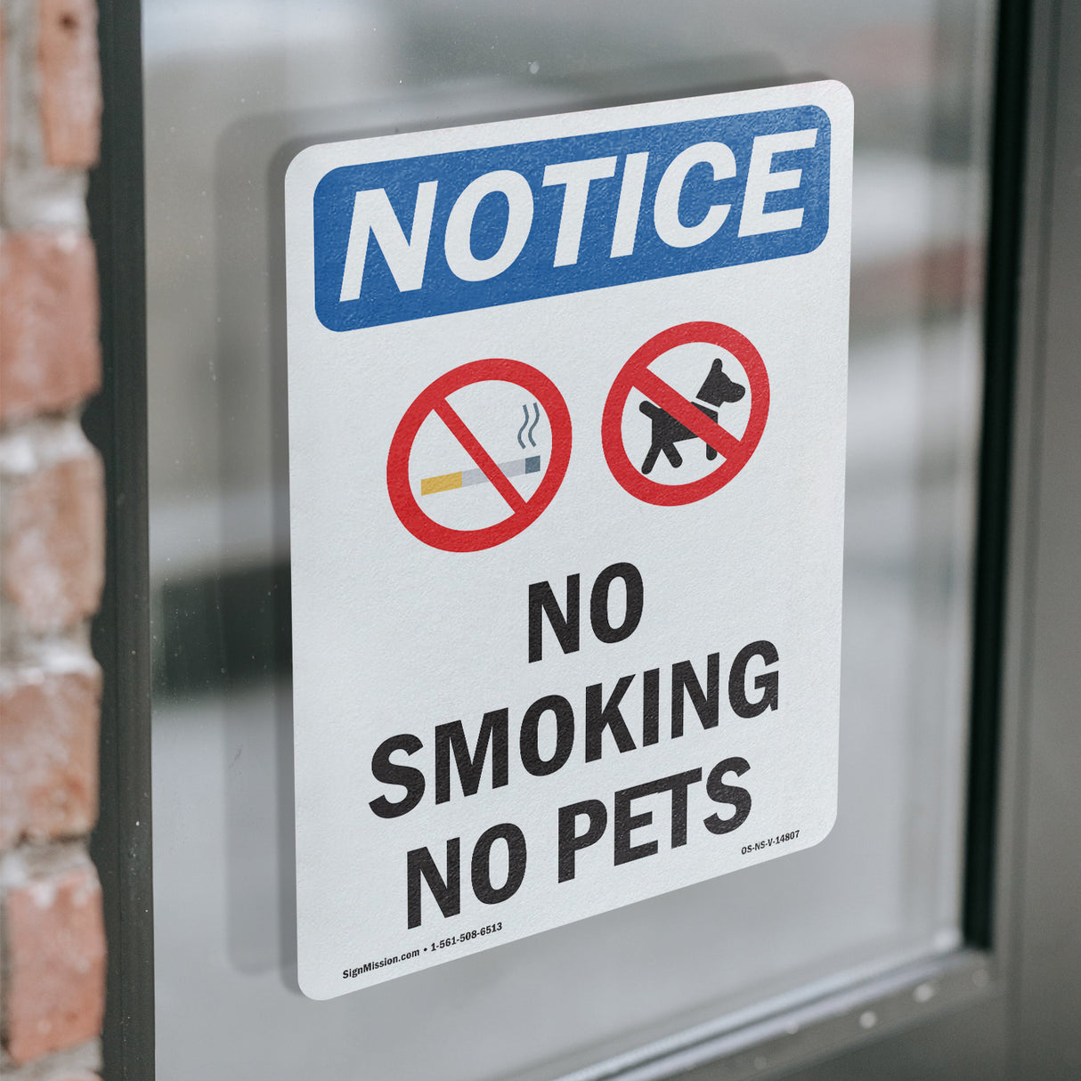 No Smoking No Pets