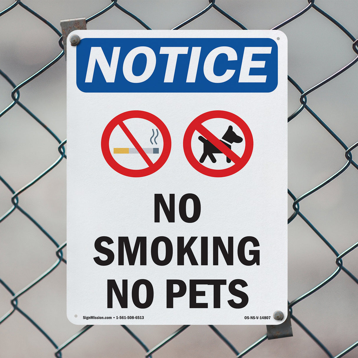 No Smoking No Pets