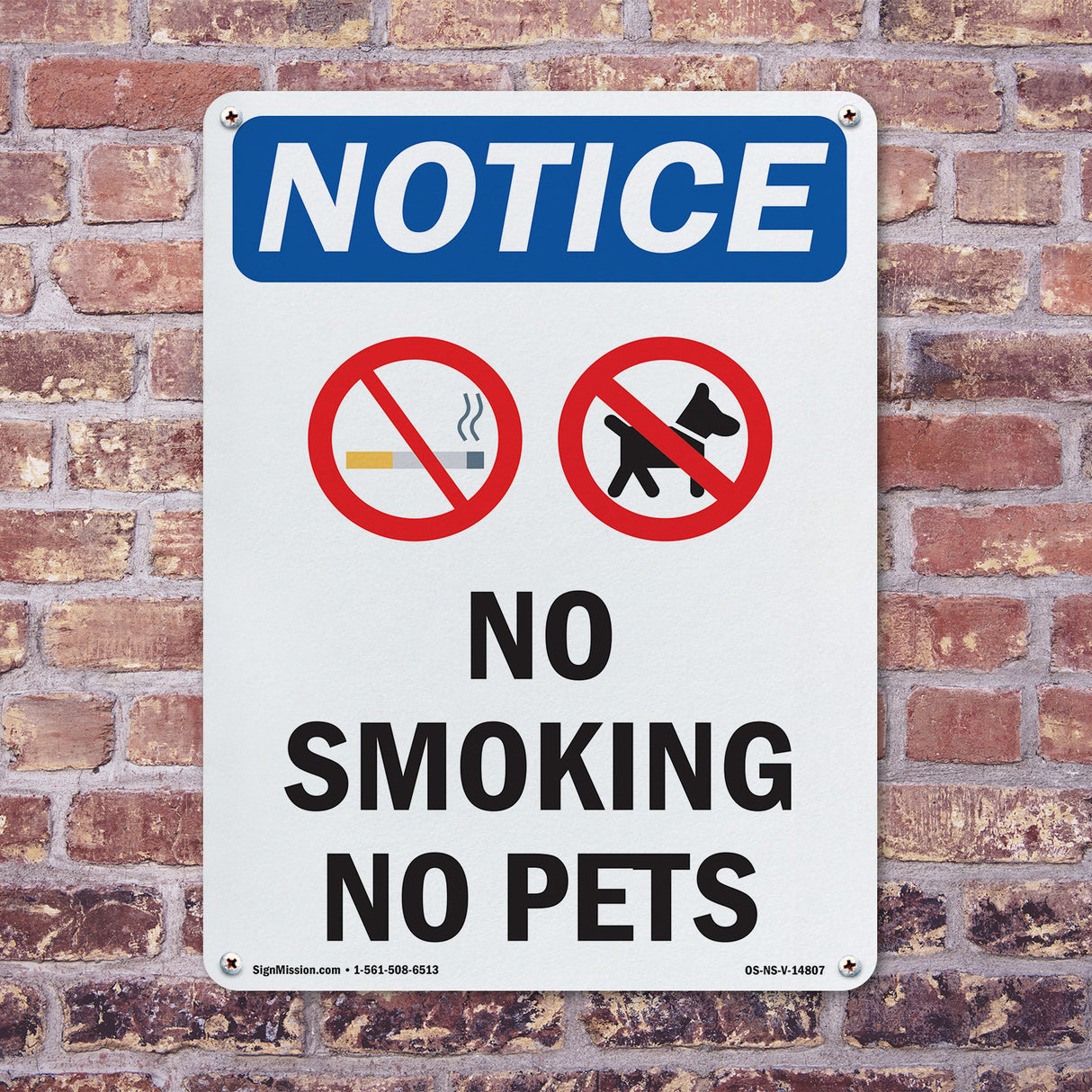 No Smoking No Pets