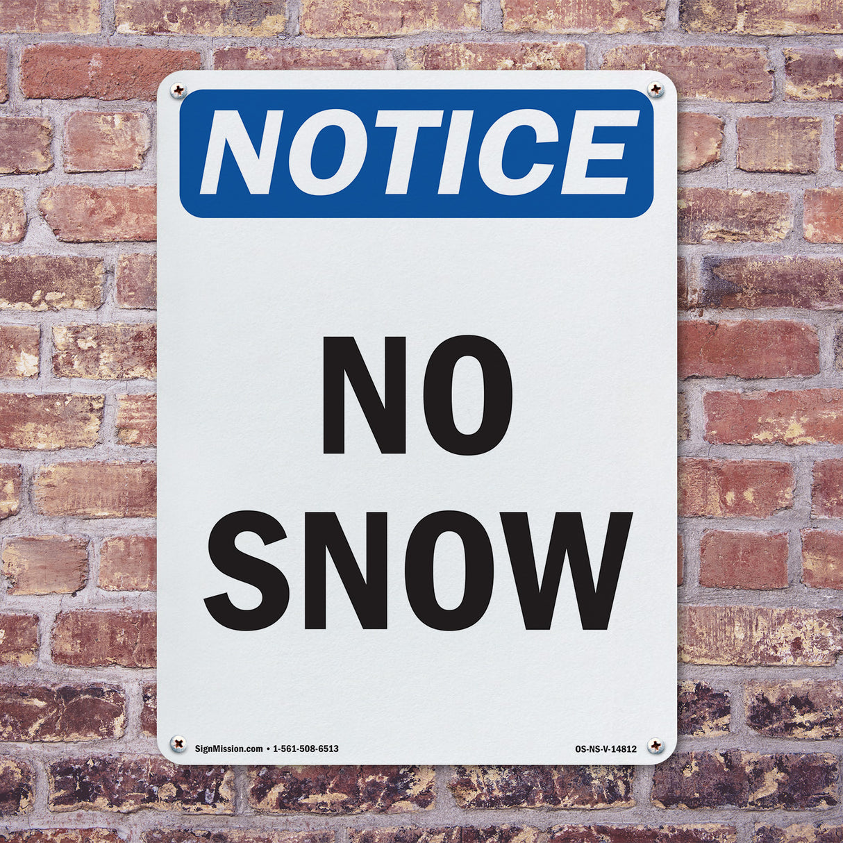 No Snow