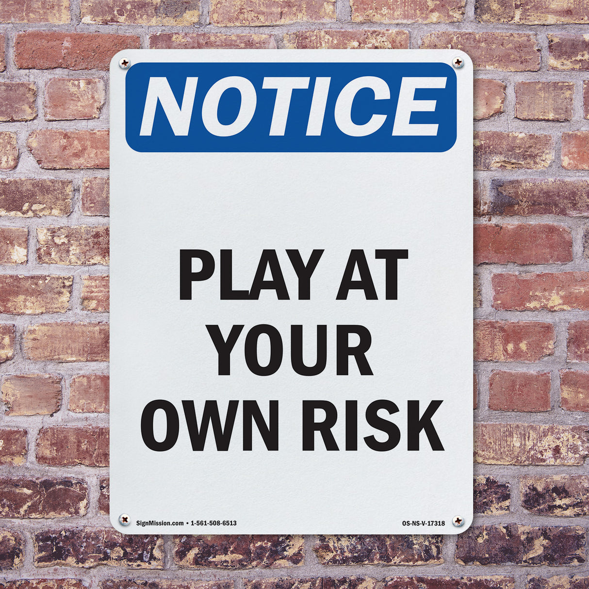 Play At Your Own Risk