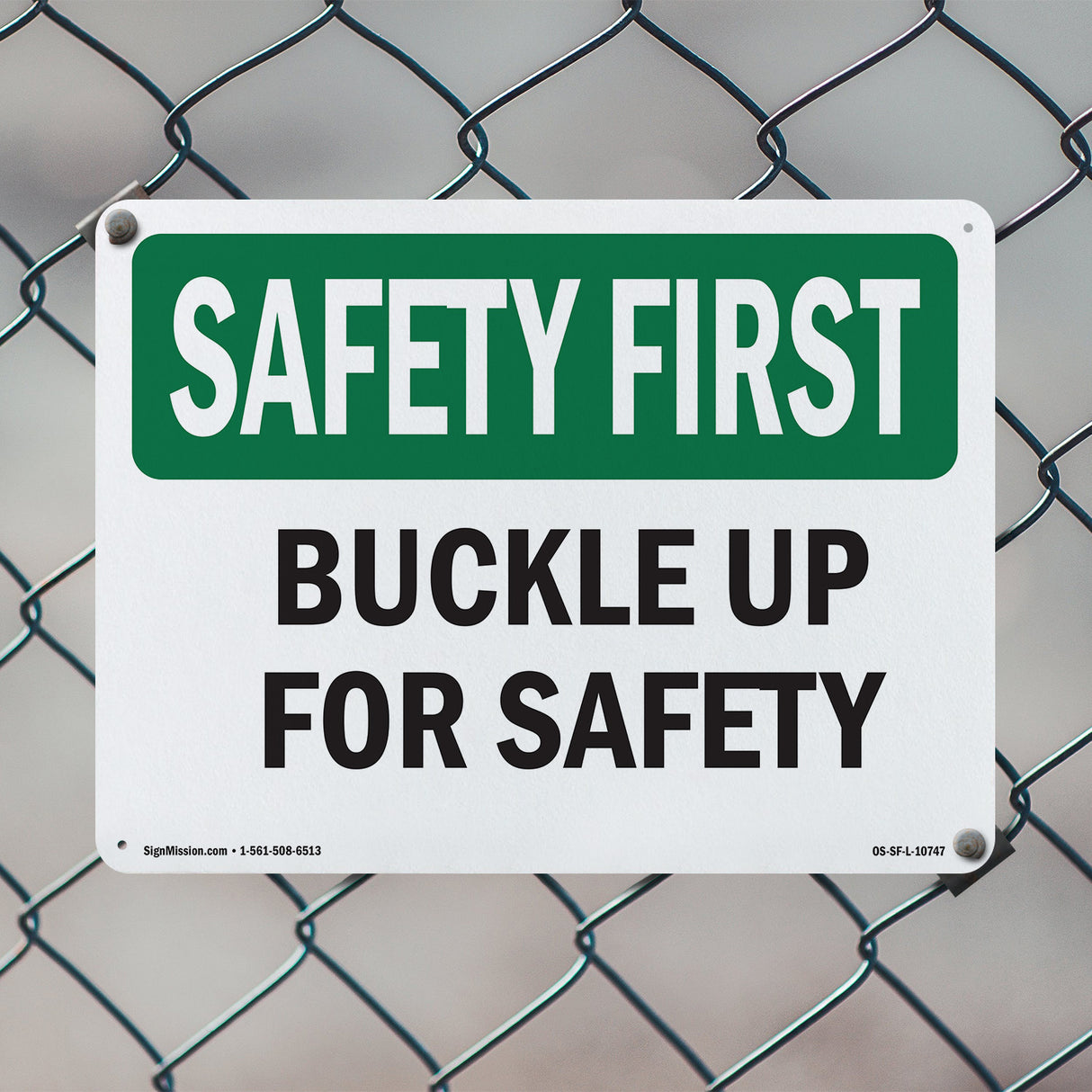 Buckle Up For Safety Bilingual