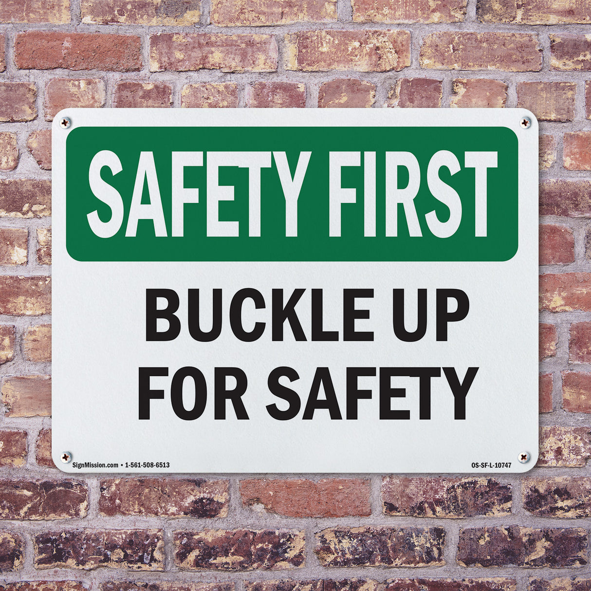 Buckle Up For Safety Bilingual