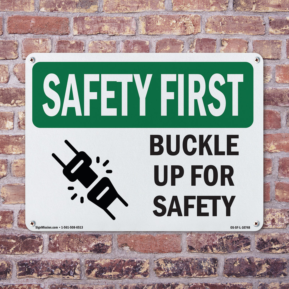 Buckle Up For Safety Bilingual
