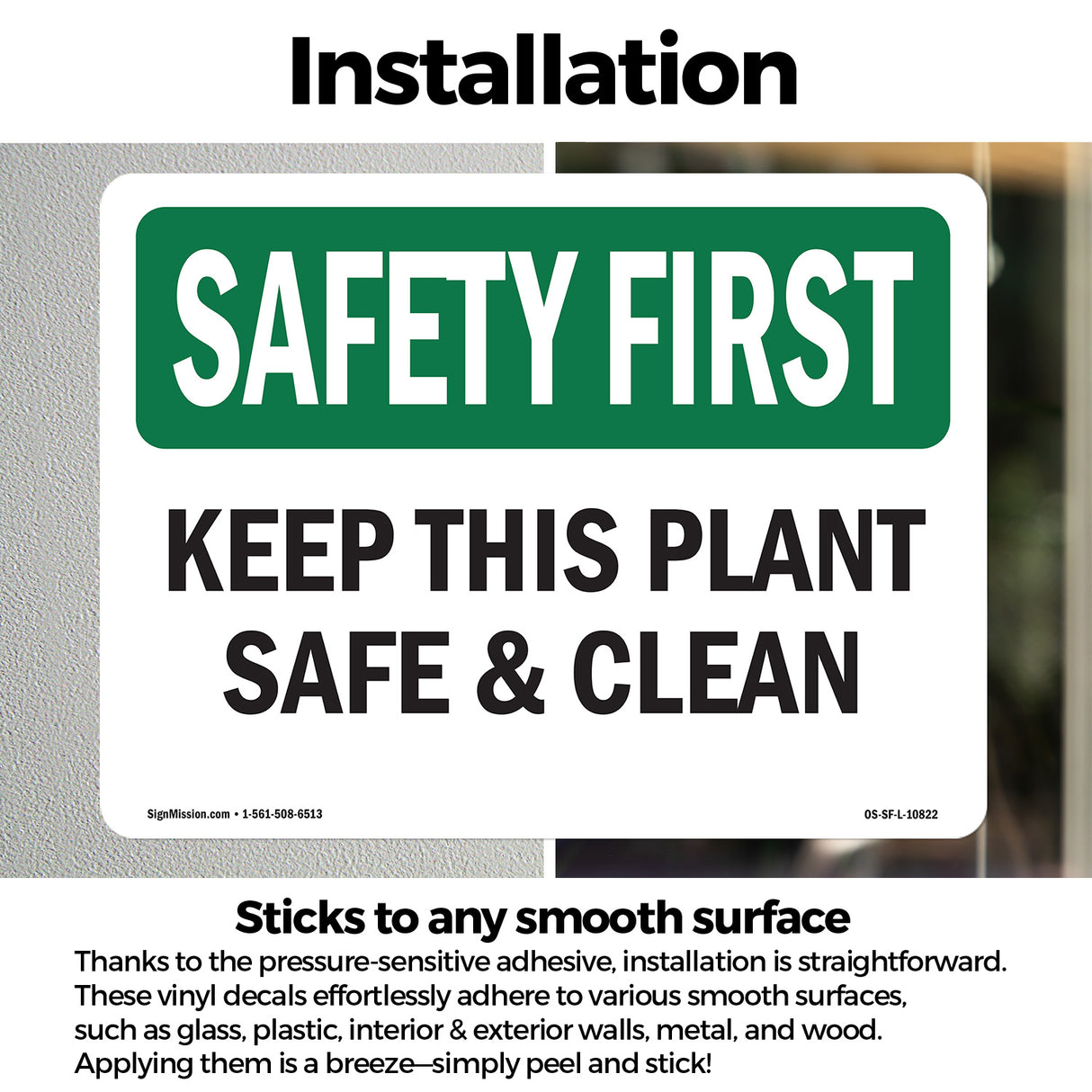 Keep This Plant Safe And Clean