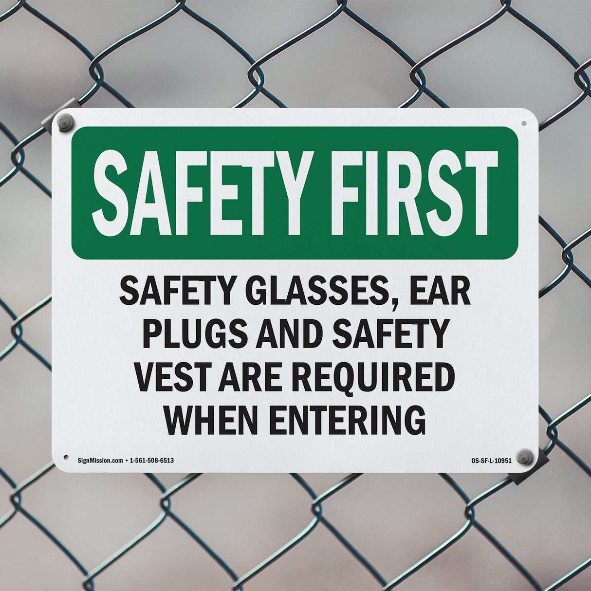 Safety Glasses, Ear Plugs And