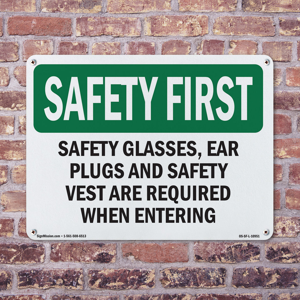 Safety Glasses, Ear Plugs And