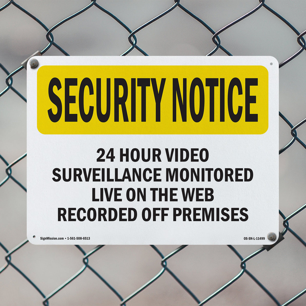 Surveillance Monitored Live