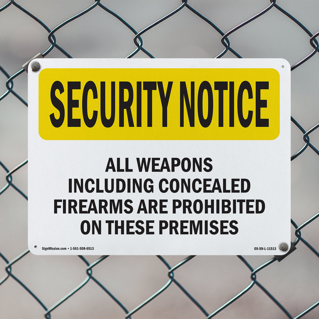 Concealed Firearms Spanish