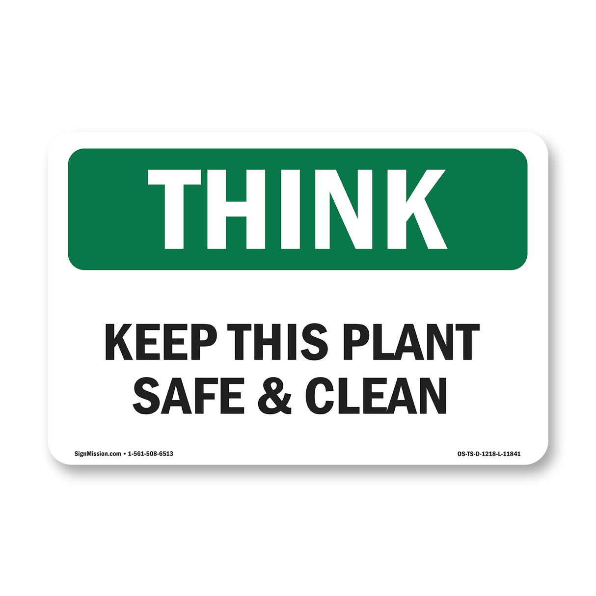 Keep This Plant Safe And Clean Spanish