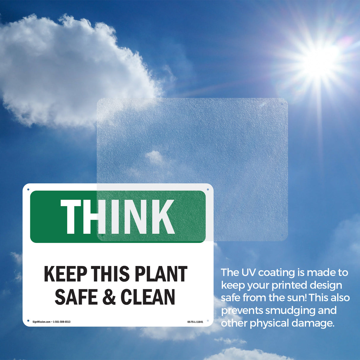 Keep This Plant Safe And Clean Spanish