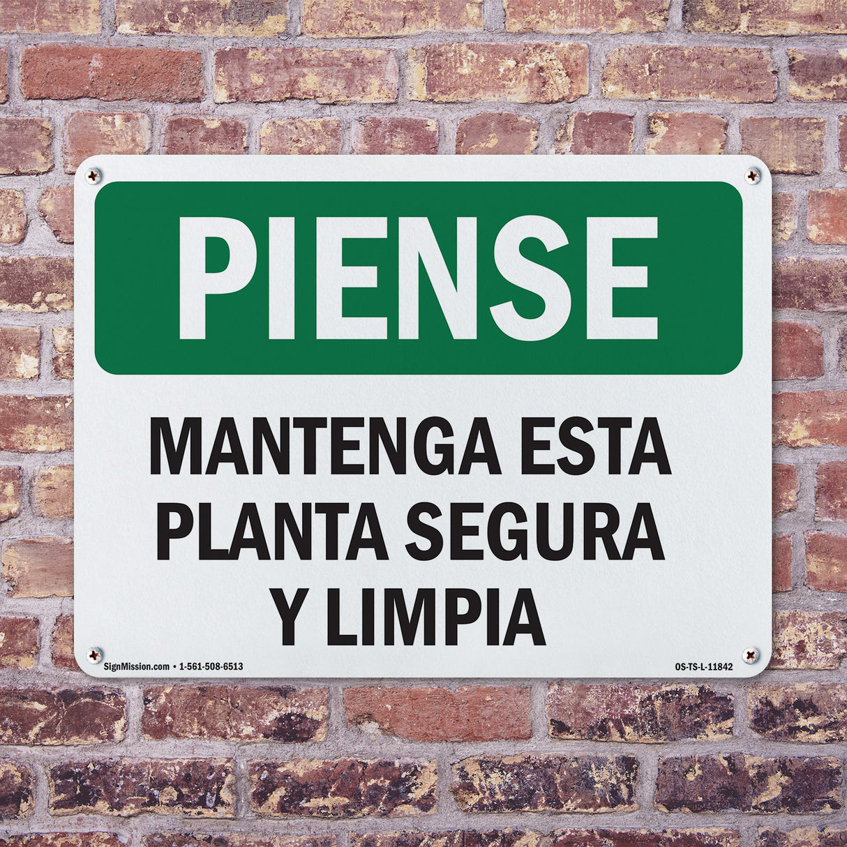 Keep This Plant Safe And Clean Spanish