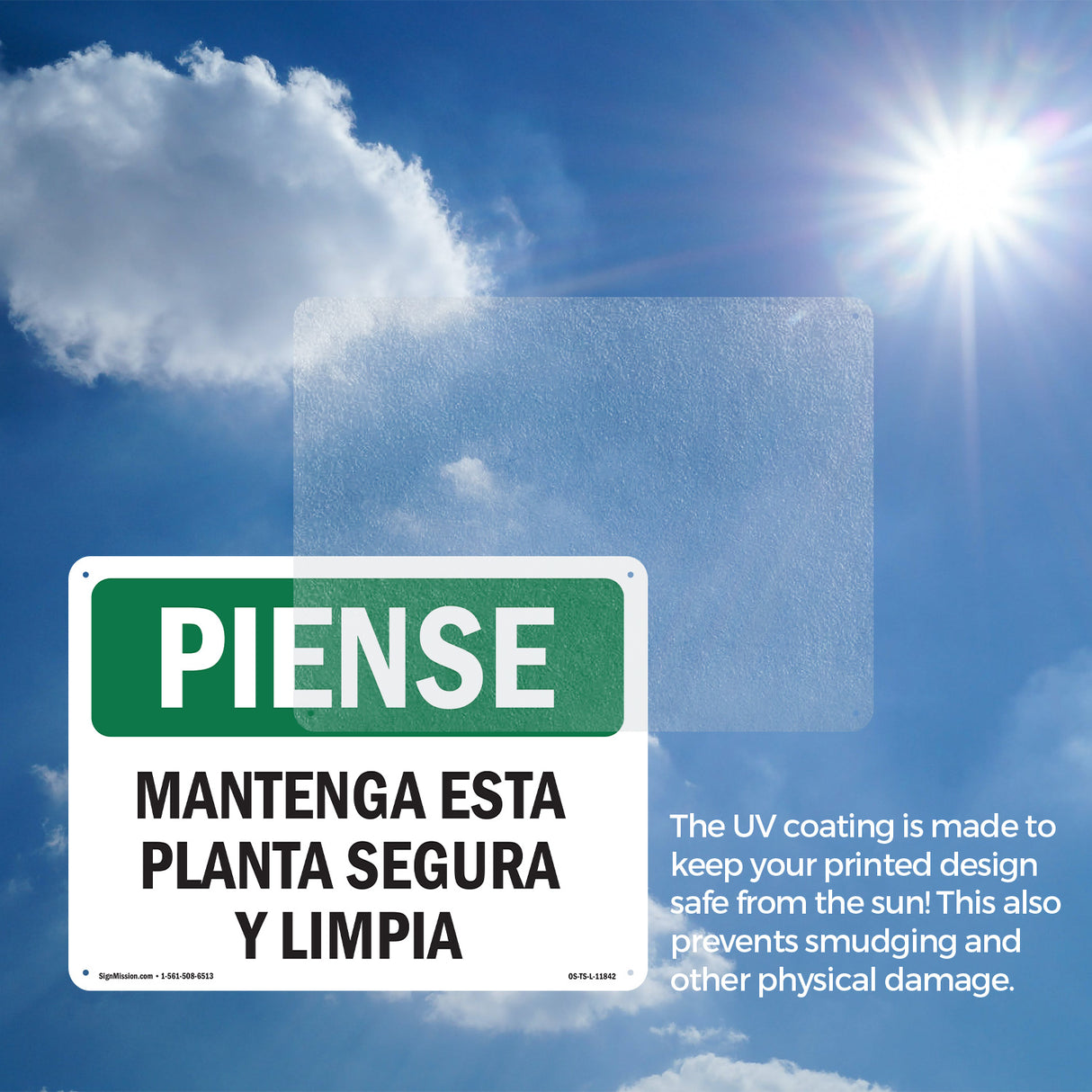 Keep This Plant Safe And Clean Spanish