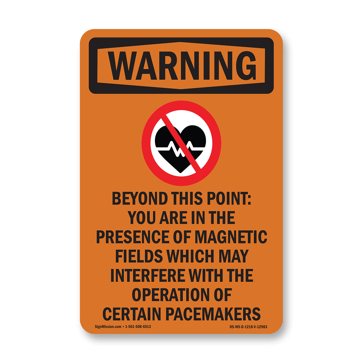 Beyond This Point Magnetic Fields Spanish