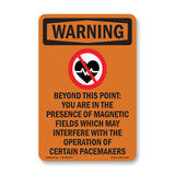 Beyond This Point Magnetic Fields Spanish