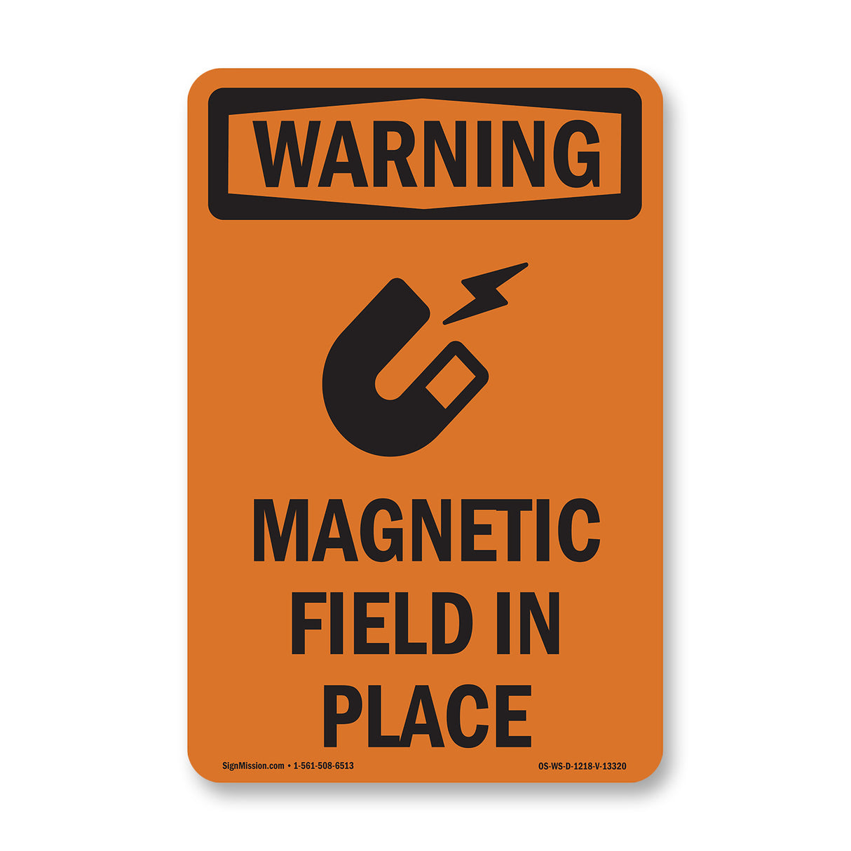 Magnetic Field In Place Bilingual