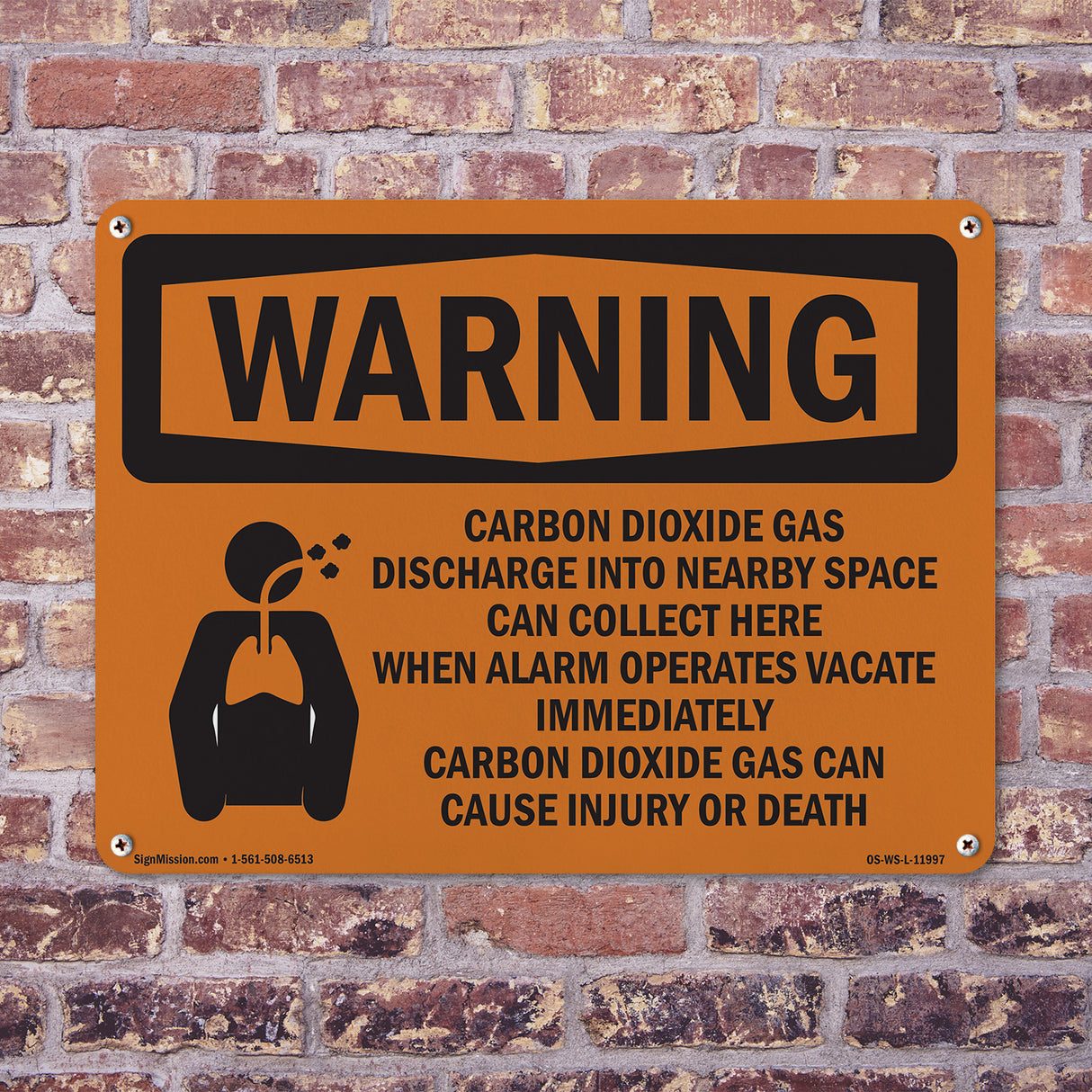 Carbon Dioxide Gas Discharge With Symbol