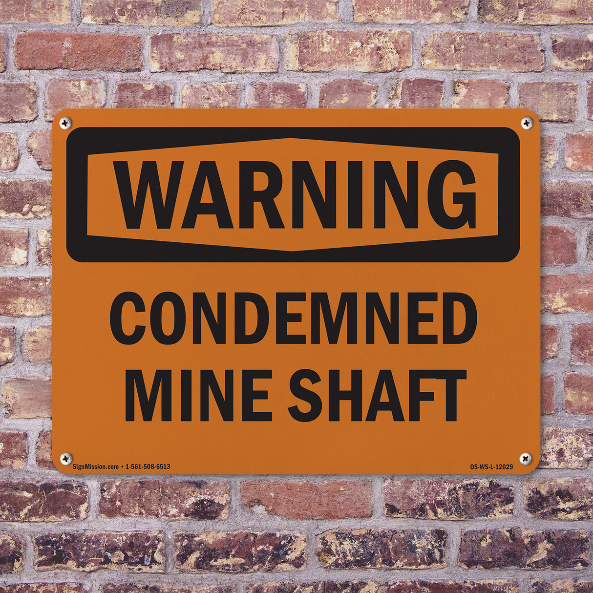 Condemned Mine Shaft