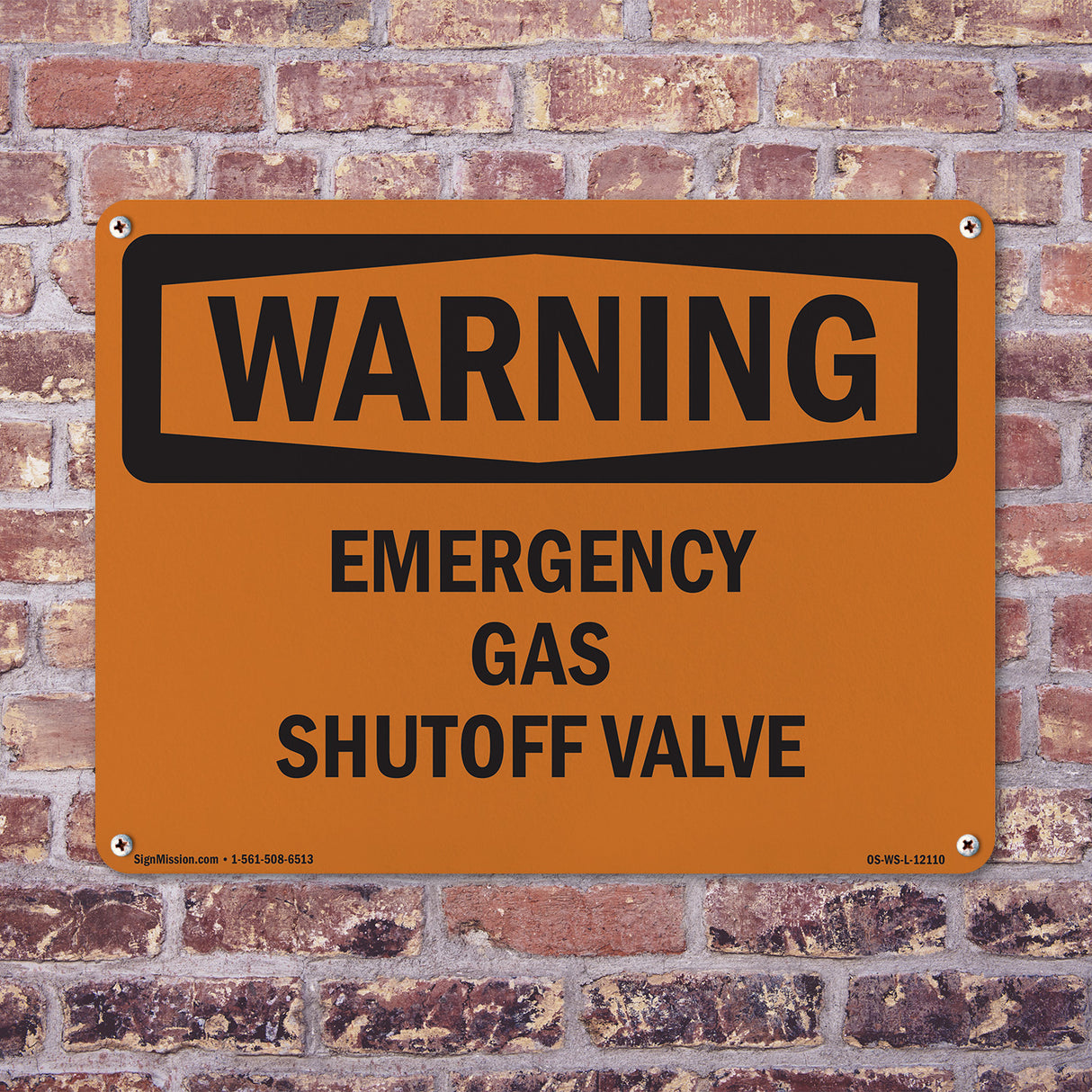 Emergency Gas Shutoff Valve