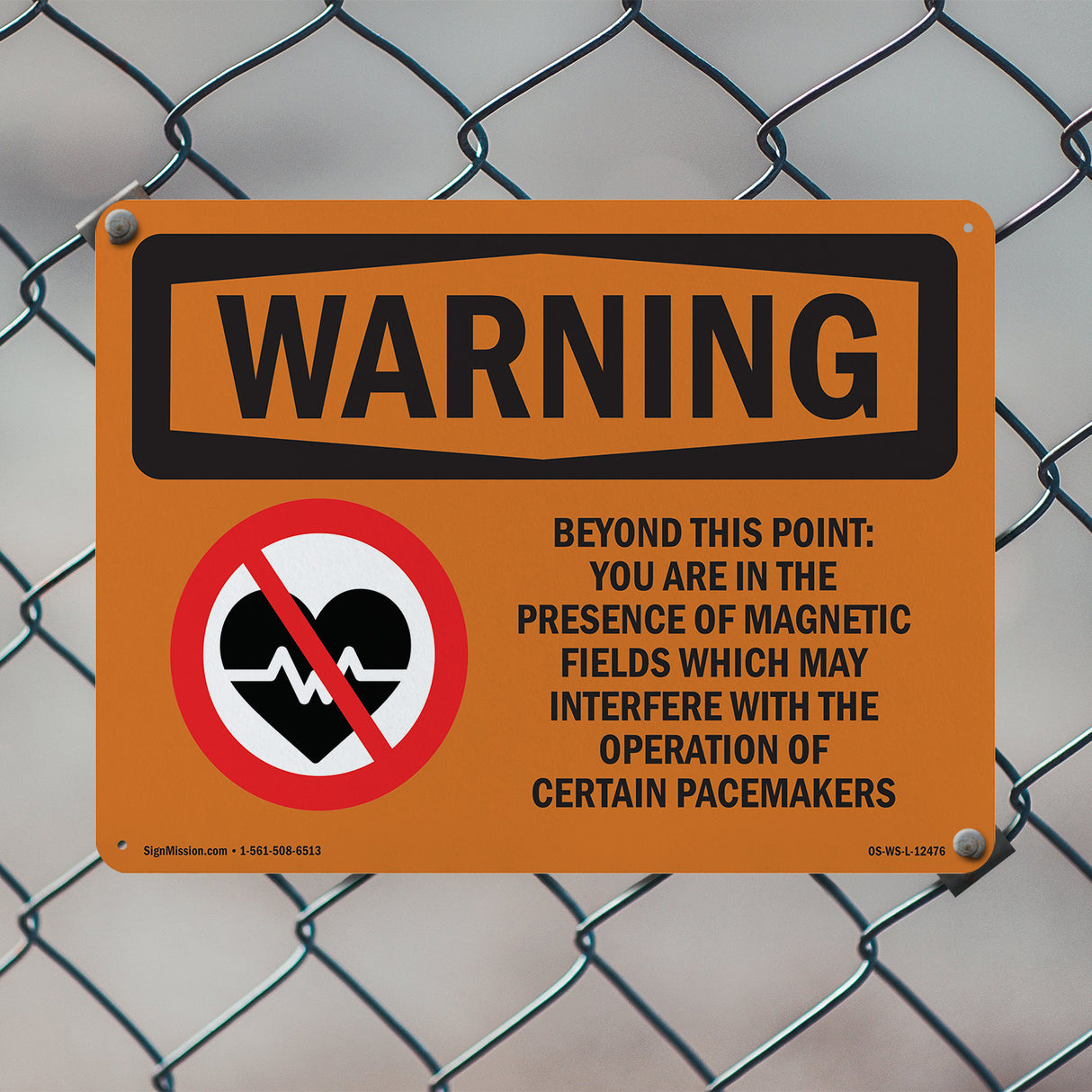 Beyond This Point Magnetic Fields Spanish