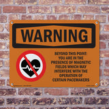 Beyond This Point Magnetic Fields Spanish