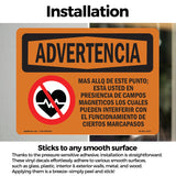 Beyond This Point Magnetic Fields Spanish