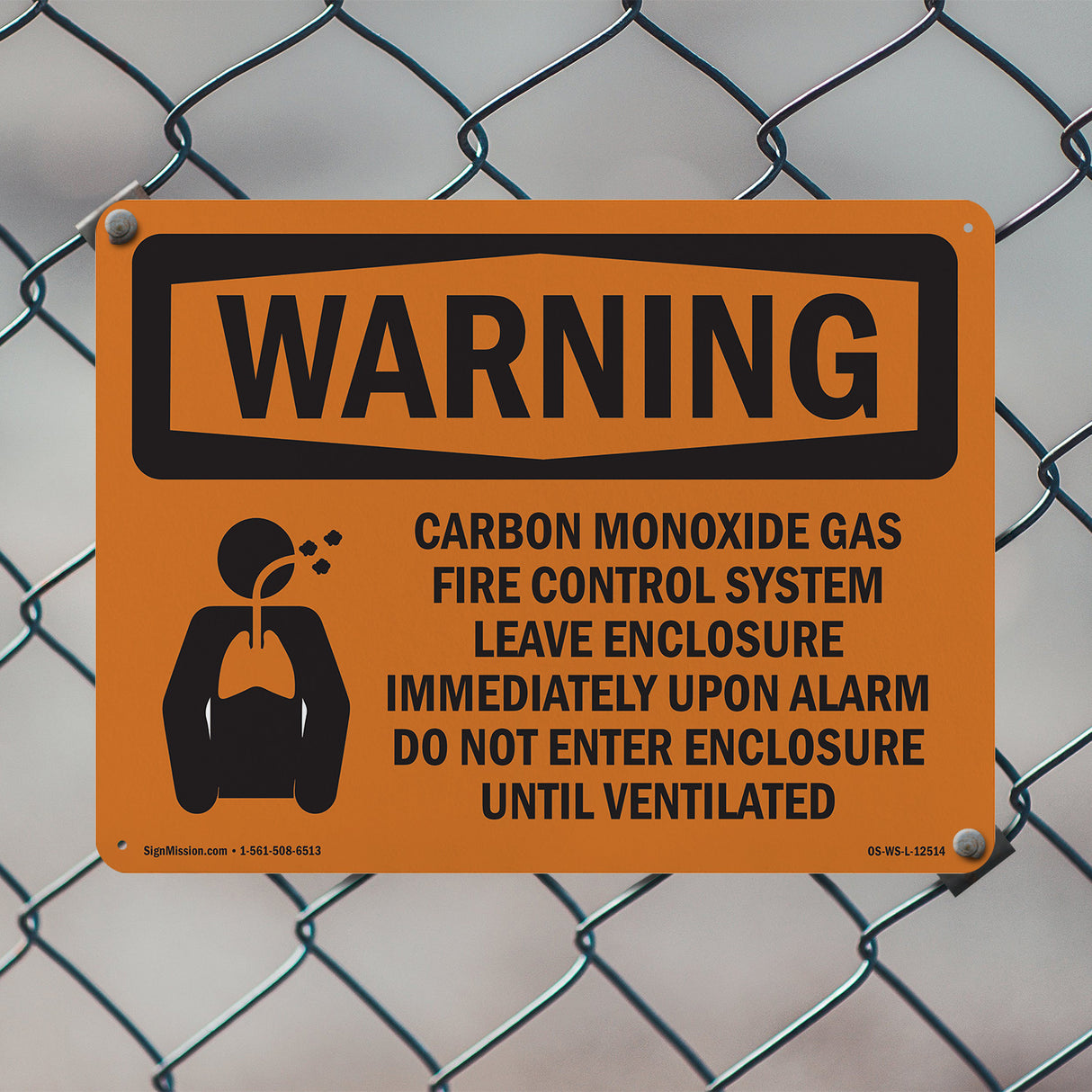 Carbon Dioxide Gas Fire With Symbol