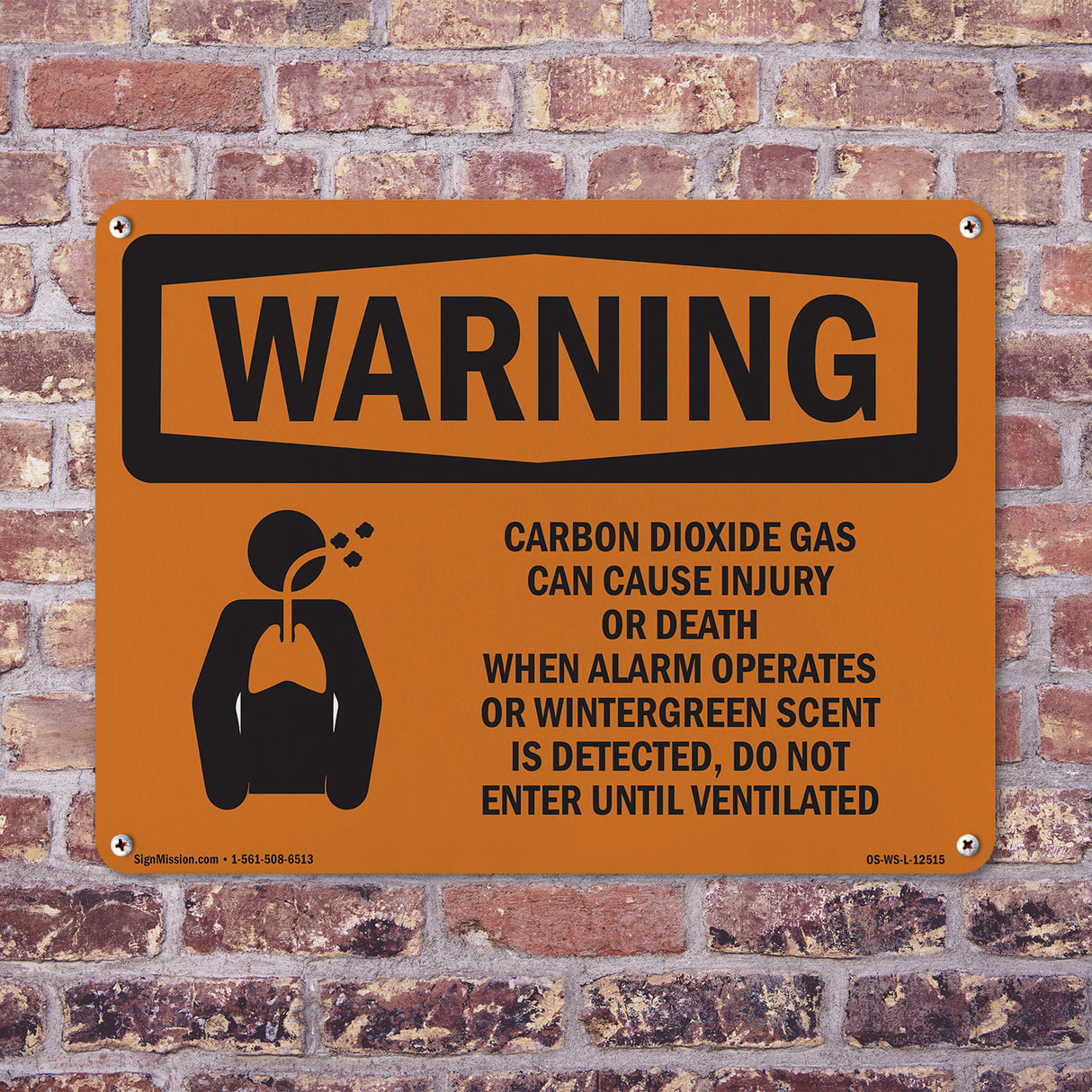 Carbon Dioxide Gas Bilingual