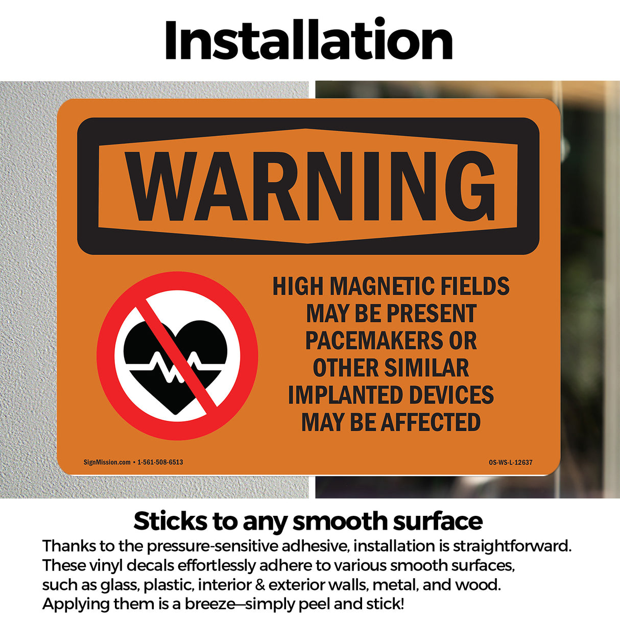 High Magnetic Fields Pacemakers Bilingual