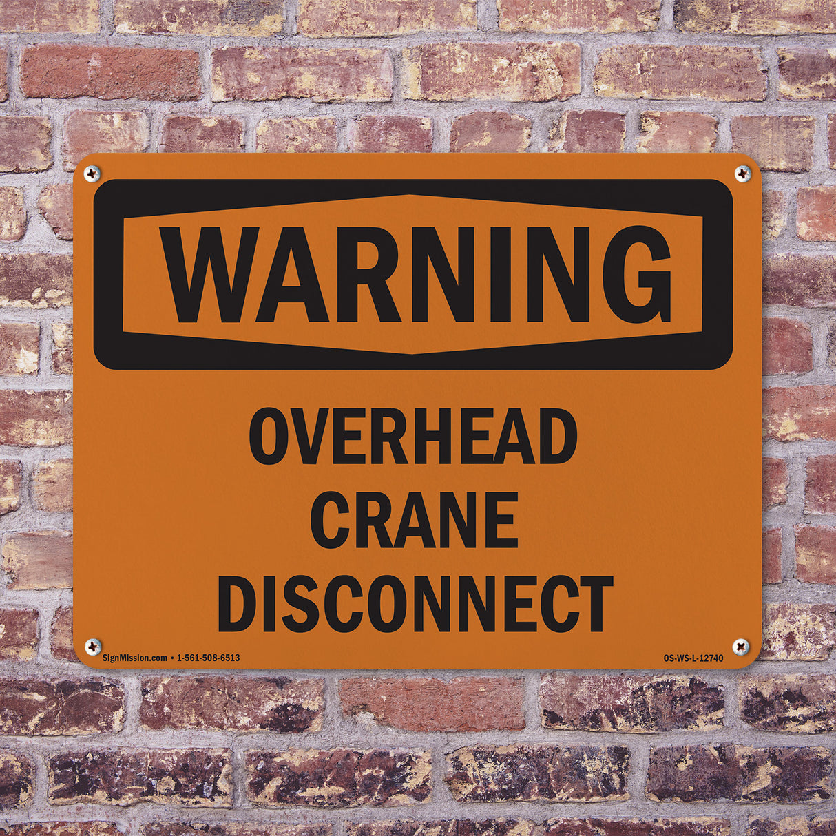 Overhead Crane Disconnect