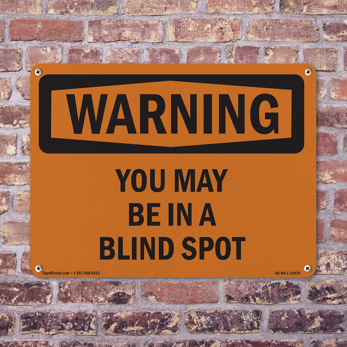 You May Be In A Blind Spot