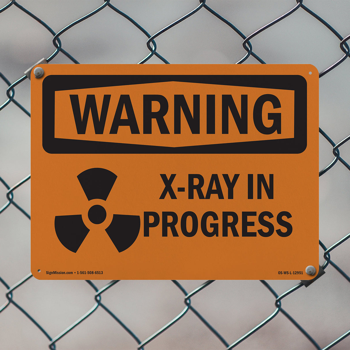 X-Ray In Progress With Symbol