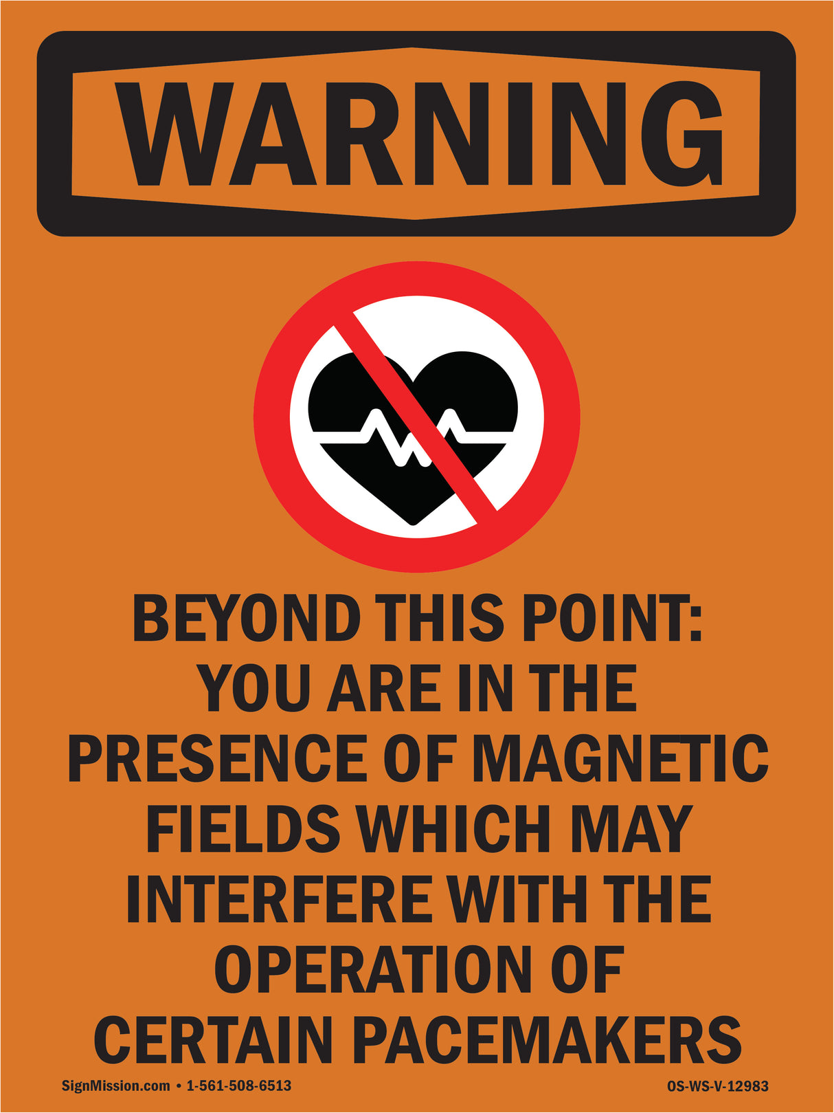 Beyond This Point Magnetic Fields Spanish