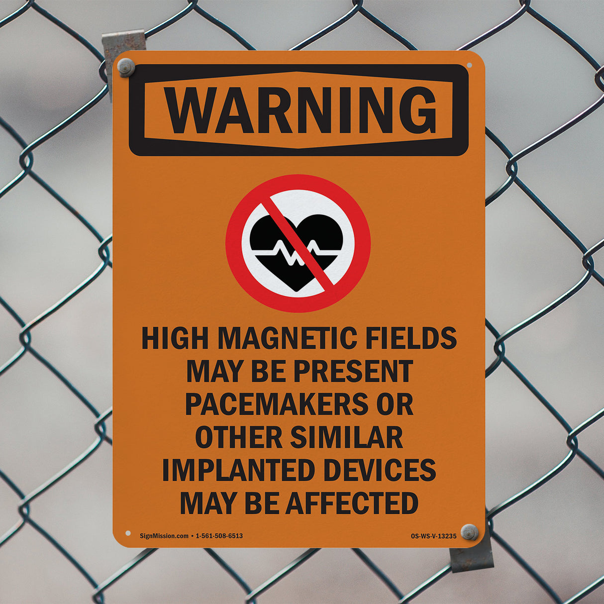 High Magnetic Fields Pacemakers Bilingual