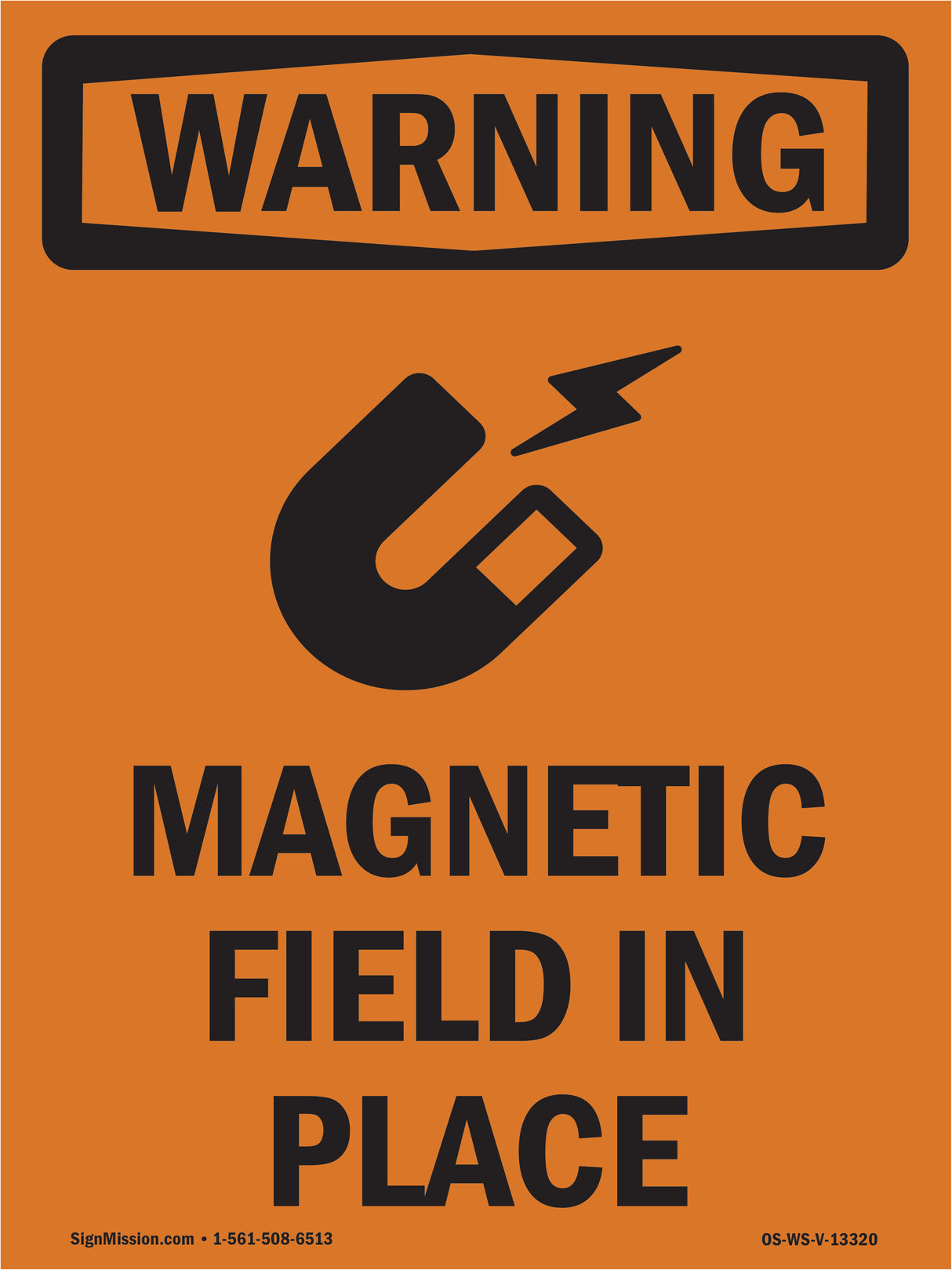 Magnetic Field In Place Bilingual