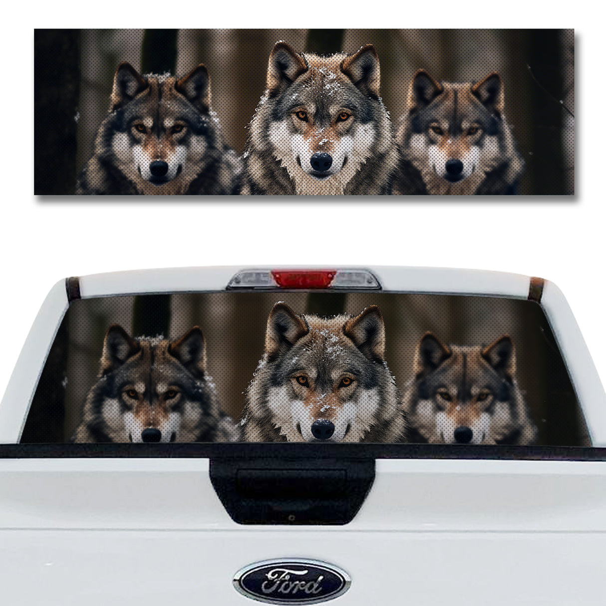 Alpha Wolf