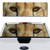 Cheetah Eyes