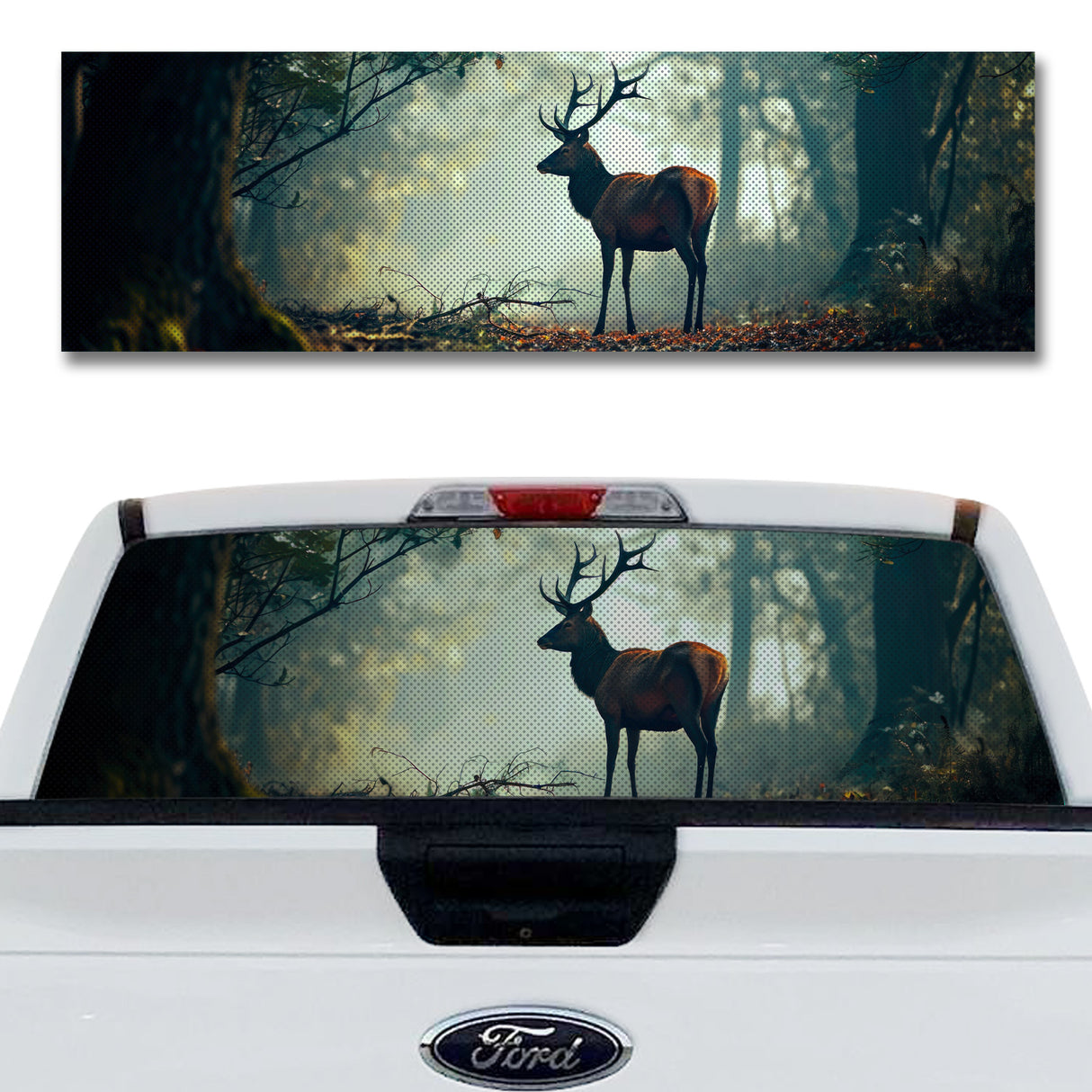 Deer in the Forest