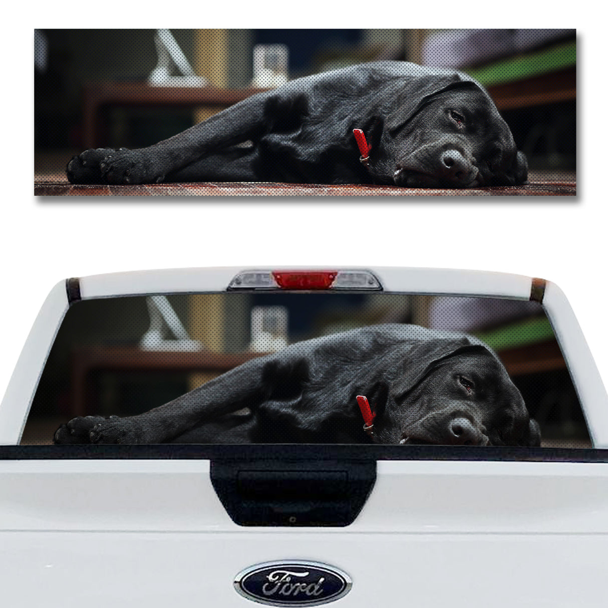 Dog Tired