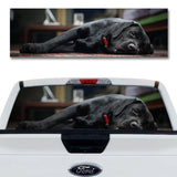 Dog Tired