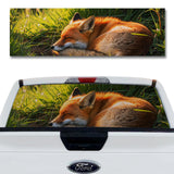 Fox Dreams