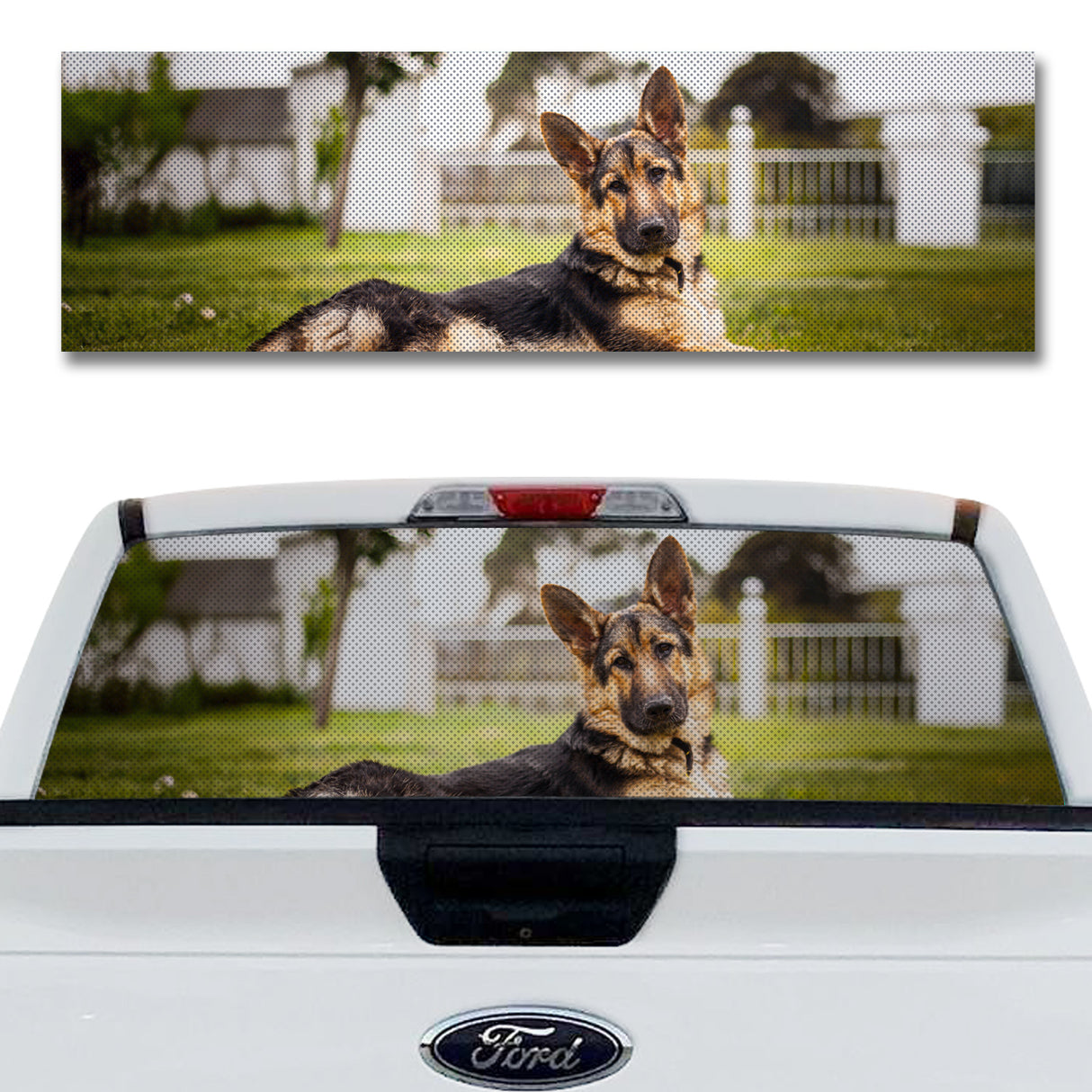 Good Boy