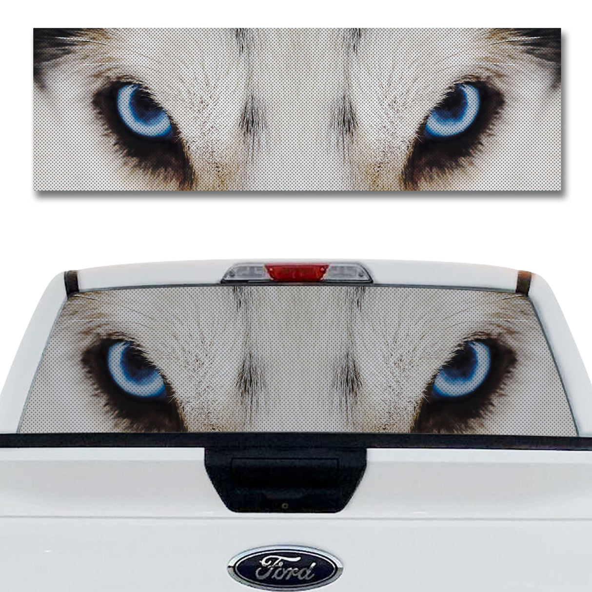 Husky